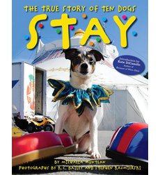 Picture book with the text "Stay: The True Story of Ten Dogs"