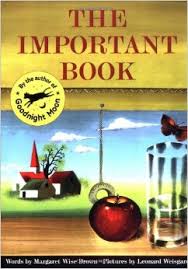 Picture book with the text "The Important Book"