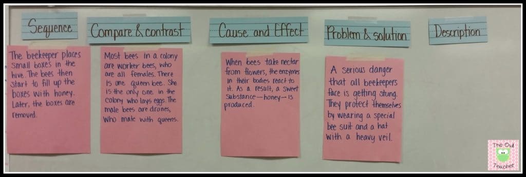 Do you need to spice up teaching text structure in reading? I have plenty of ideas and teaching activities to make it easy!