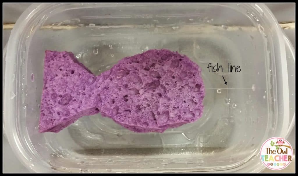 Teaching science is a fun and engaging activity with this science experiment! Check out this idea on how to help students explore pollution for Earth Day or any science lesson!