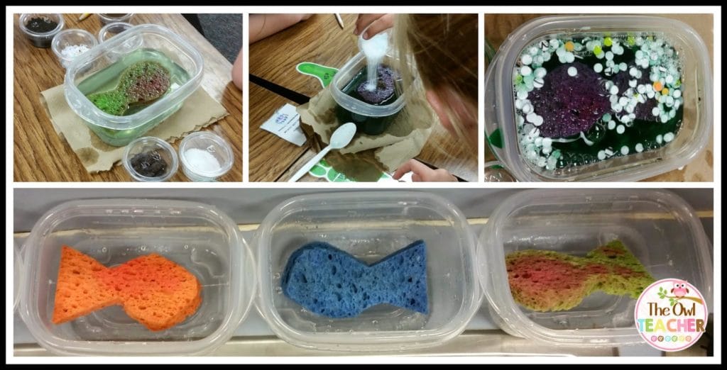 Teaching science is a fun and engaging activity with this science experiment! Check out this idea on how to help students explore pollution for Earth Day or any science lesson!