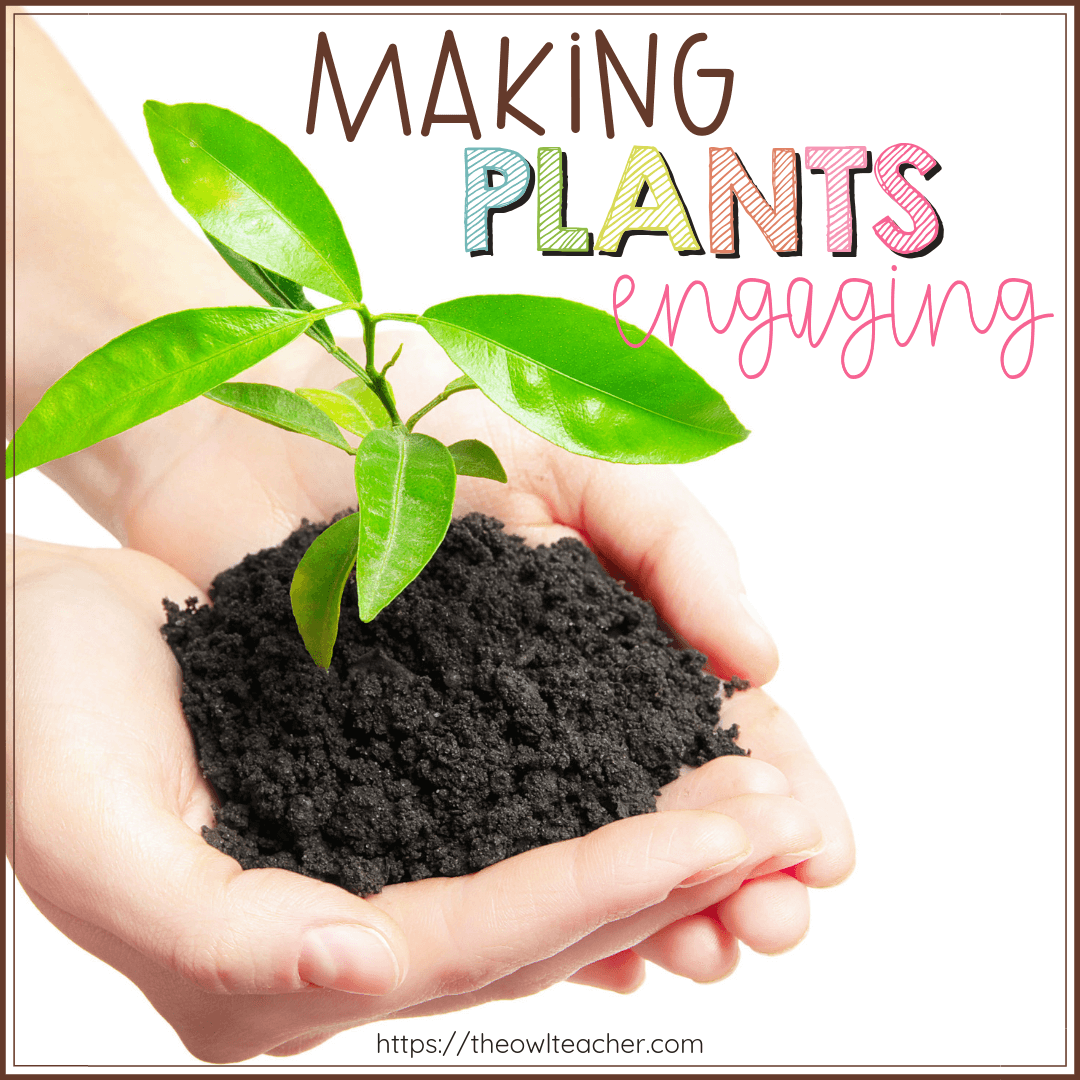 Teaching about plants during science does not have to be boring. Check out these ways to be engaging while teaching science and plant activities!
