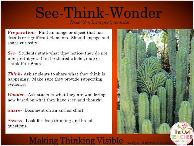 See-Think-Wonder thinking routines for Making Thinking Visible.