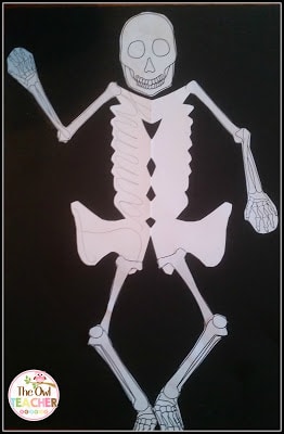 This fun and easy craft involves students writing their name in cursive to create the bones of a skeleton - perfect for halloween or any skeleton system unit! This blog post explains how to create it and provides a free download of bone attachments!