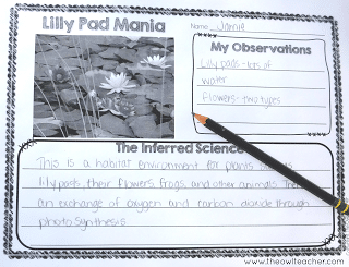 Do you have budding scientists in your upper elementary class? This blog post goes into detail on how you can use pictures to create scientists! This is an easy way to bring real-life science into the classroom. Click through to read more and download freebies!