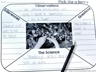 Do you have budding scientists in your upper elementary class? This blog post goes into detail on how you can use pictures to create scientists! This is an easy way to bring real-life science into the classroom. Click through to read more and download freebies!