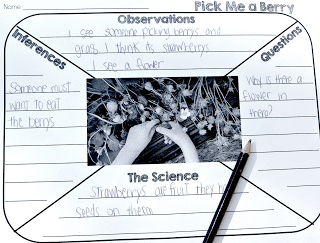 There's a constant push on teachers to create interdisciplinary lessons, especially in order to cover more academic standards. This post shares five ways to integrate writing into your science class, so click through to read all of the ideas!