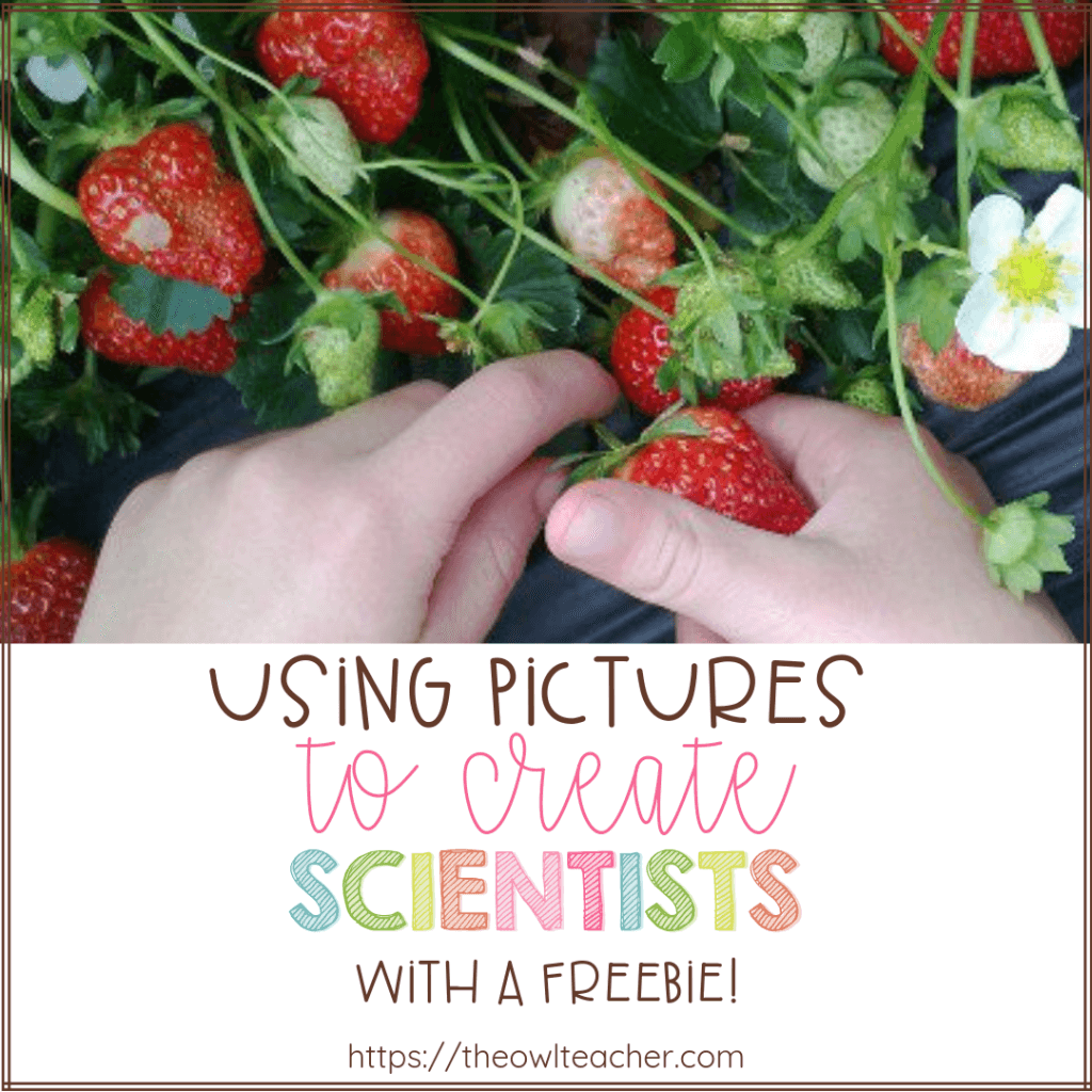 Using Pictures to Create Scientists - With a Freebie! - The Owl Teacher