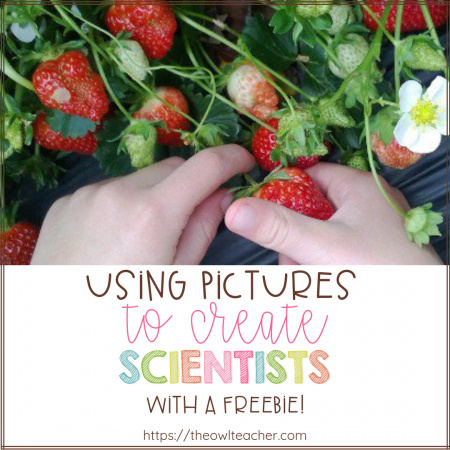 Do you have budding scientists in your upper elementary class? This blog post goes into detail on how you can use pictures to create scientists! This is an easy way to bring real-life science into the classroom. Click through to read more and download freebies!