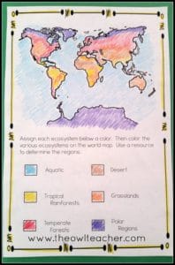 My district's science curriculum skips teaching about ecosystems and biomes, for some reason, but includes adaptations. I want my students to understand why adaptations are necessary, so I squeeze in a quick lesson or two about ecosystems so they better understand. Read about my lessons for ecosystems and the engaging, hands-on activities that I do to pique students' interest!