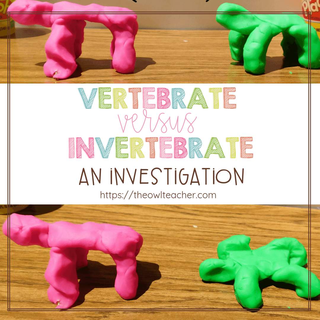 Studying vertebrates and invertebrates makes for fun lessons for students - like this one, where kids get to make "animals" out of playdough and then stack wooden blocks on top! Read more about how to implement this lesson in this post.