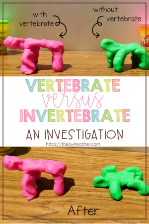 Studying vertebrates and invertebrates makes for fun lessons for students - like this one, where kids get to make "animals" out of playdough and then stack wooden blocks on top! Read more about how to implement this lesson in this post.