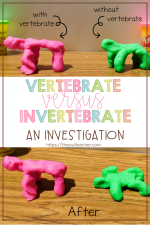 examples of vertebrates and invertebrates for kids