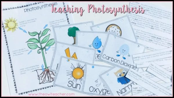 Photosynthesis is often a challenging topic to teach students, because it's hard to conceptualize and understand. Starting off your plants unit with a role playing activity about photosynthesis is the perfect way to get students engaged and to help them visualize how photosynthesis works!