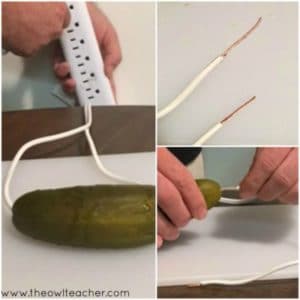 Teaching Electricity with Pickles - The Owl Teacher