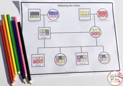 Teach genetics to your students to help them learn about how traits get passed down from parents to their offspring. This fun demonstration that uses jelly beans provides an engaging and concrete way for students to learn this information. Click through to read how to do the experiment and to get a freebie!
