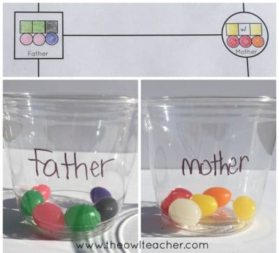 Teach genetics to your students to help them learn about how traits get passed down from parents to their offspring. This fun demonstration that uses jelly beans provides an engaging and concrete way for students to learn this information. Click through to read how to do the experiment and to get a freebie!
