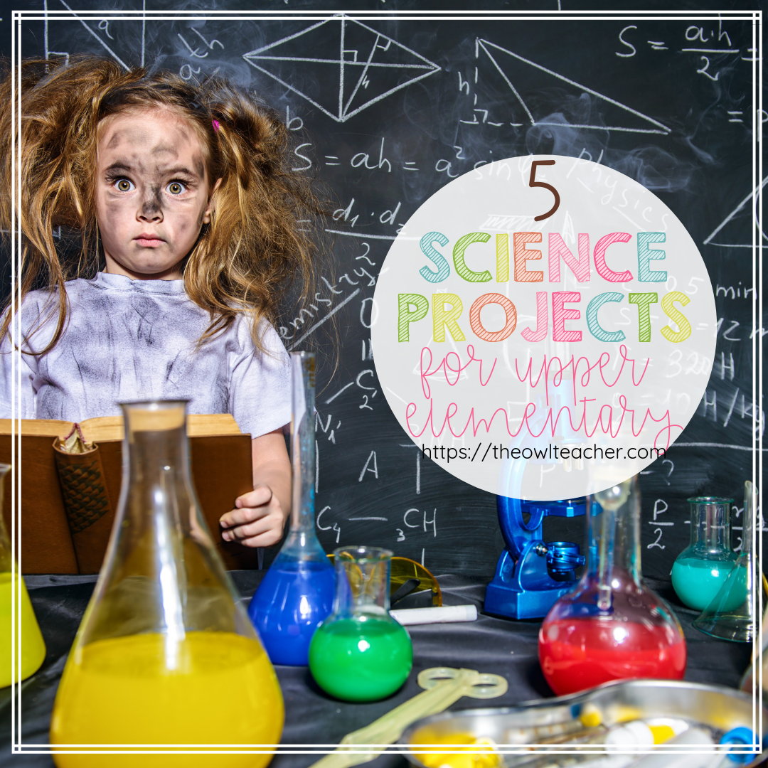 Science Projects For Elementary Students