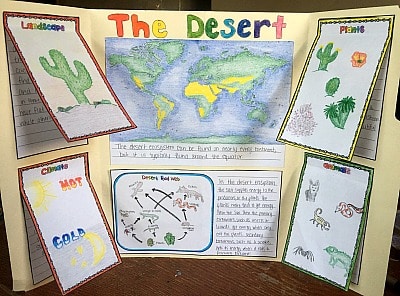 ecosystem experiments for middle school