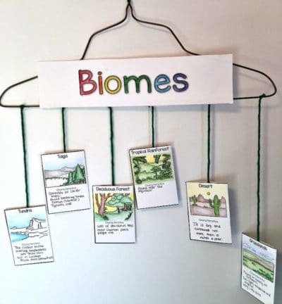 SOLVED: Text: Biology 20: Ecosystems Project The intention of this project  is for you to compile, using a single sheet of paper, the ecosystem  structure for a Canadian ecosystem biome. Be careful