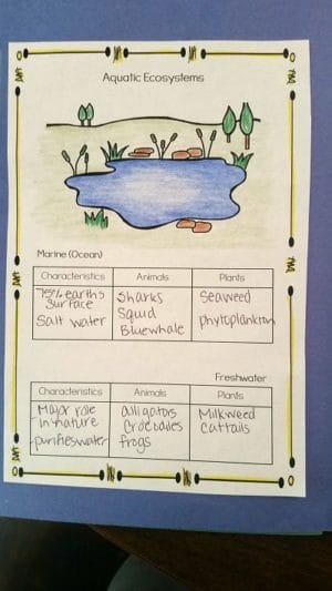 ocean biome project ideas