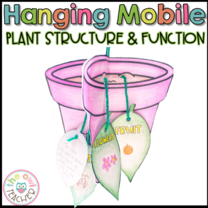 Plant’s Structure and Functions Hanging Mobile Craftivity