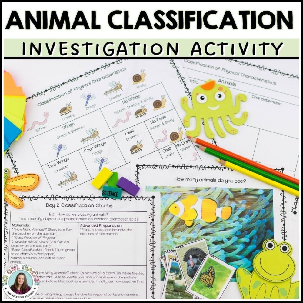 animal classification investigation activity samples