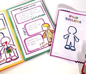 Human Body Systems Activity | Foldable Booklet Printable & Digital (Google)