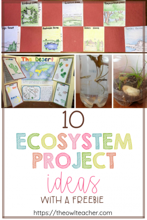 Engage your students with these 10 ecosystem project ideas for your elementary science class and grab a FREEBIE to get started!