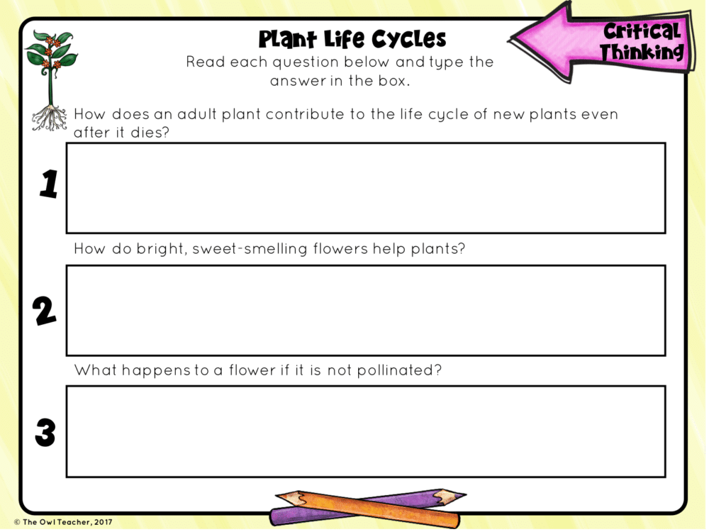 Life Cycle Math Task Cards - Classful