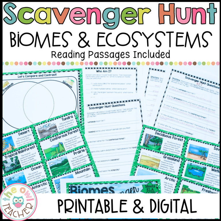 Ecosystems Scavenger Hunt Printable & Digital (Google) The Owl Teacher