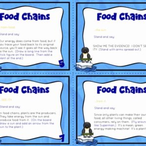 Food Chains Causation Cards