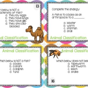 Animal Classification Task Cards