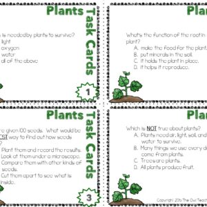 Plant Task Cards
