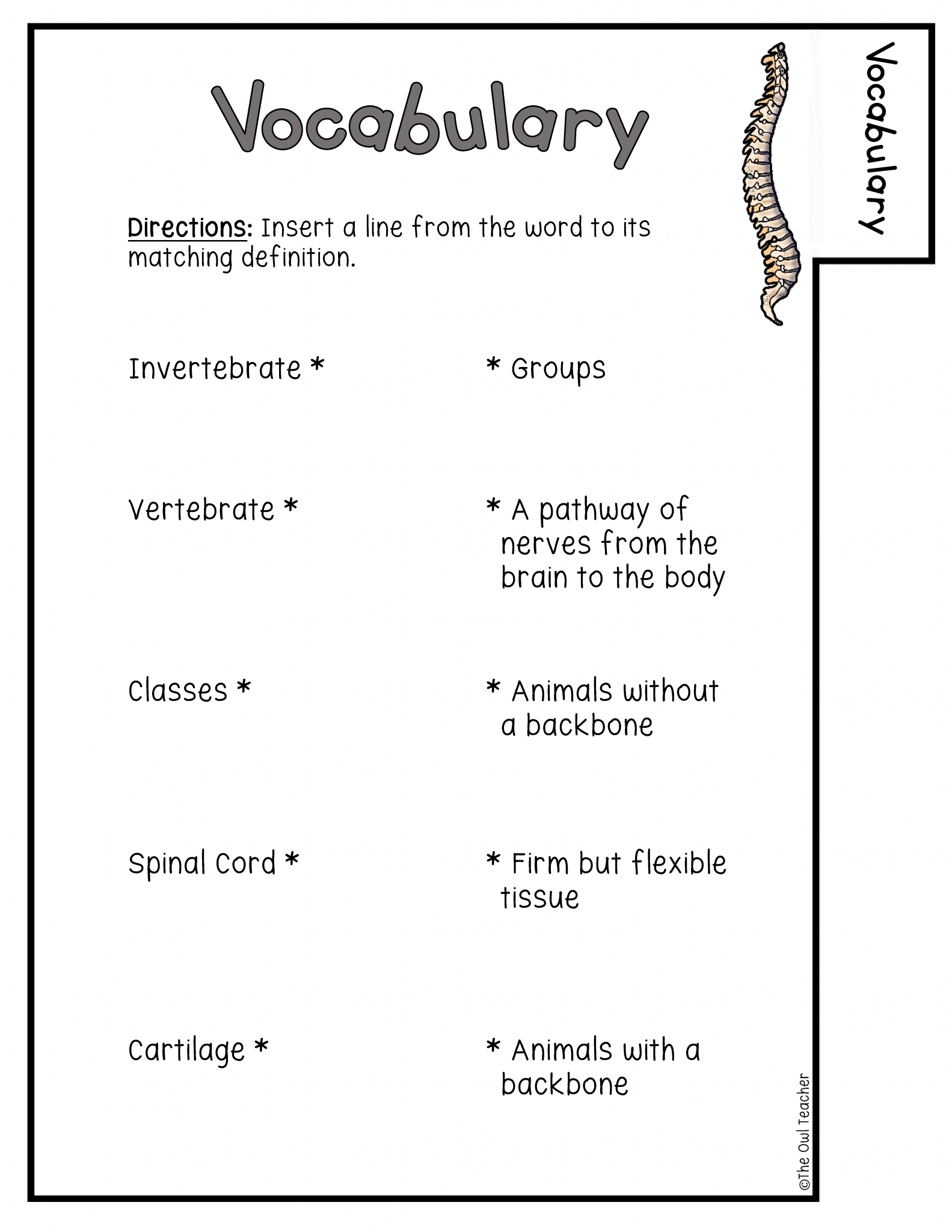 Vertebrate & Invertebrate | Animal Classification | Booklet Printable