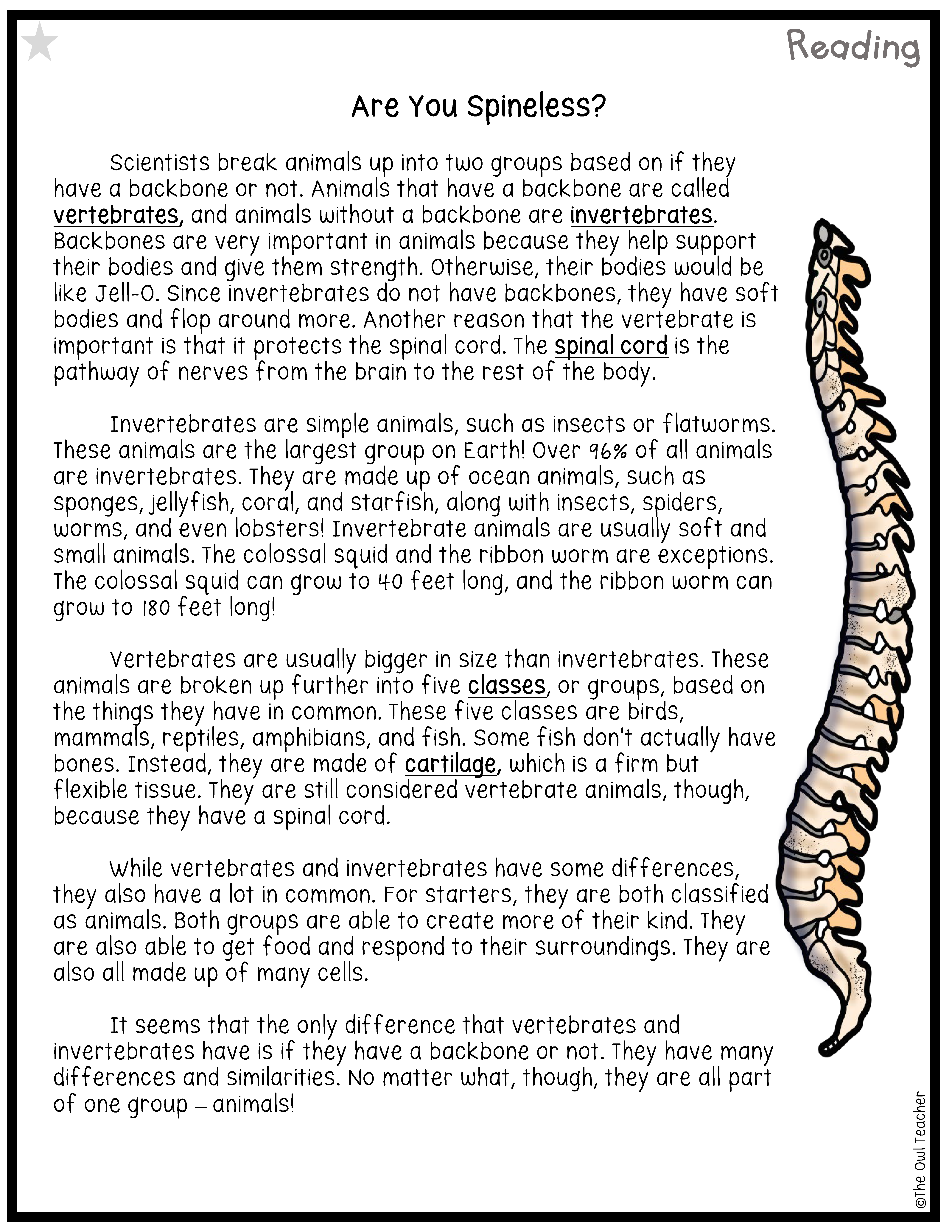 Vertebrate Invertebrate Animal Classification Booklet Printable 