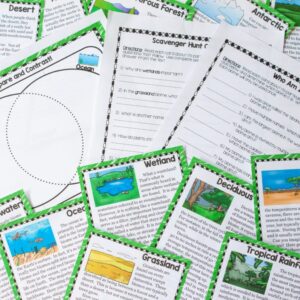 Ecosystems Scavenger Hunt Printable & Digital (Google)