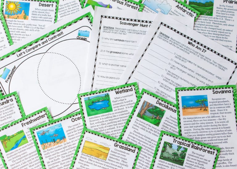 Ecosystems Scavenger Hunt Printable & Digital (Google) The Owl Teacher