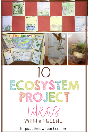 Engage your students with these 10 ecosystem project ideas for your elementary science class and grab a FREEBIE to get started! Looking for ecosystem activities that go beyond the diorama? These 10 hands-on ecosystem project ideas for upper elementary science include building real habitats, biome foldables, scavenger hunts, PBL zoo design, accordion books, and more. Aligned with NGSS and Texas TEKS for grades 3–5. Includes a free printable! Perfect for teaching desert, rainforest, tundra, ocean, grassland, freshwater, and forest ecosystems.
