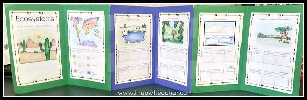 Engage your students with these 10 ecosystem project ideas for your elementary science class and grab a FREEBIE to get started!