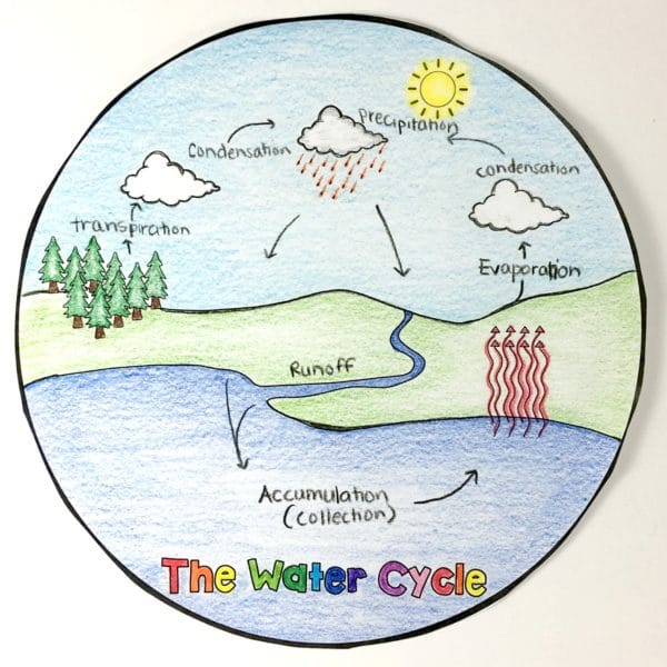 Water Cycle Activities | Circle Book Printable and Digital (Google ...