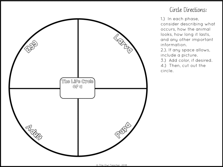 Life Cycles Circle Book Craftivity - The Owl Teacher
