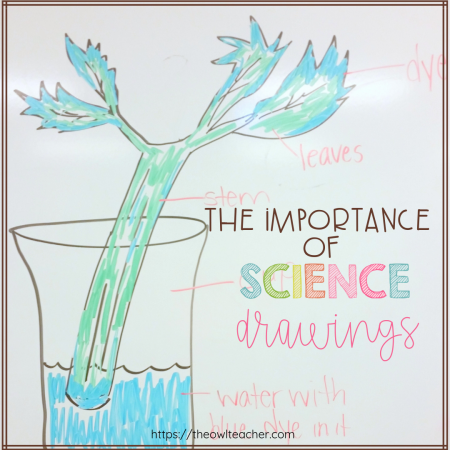 Are you using science drawings in your classroom? These drawings are important and used by both scientists and engineers. Learn everything you need to know to help your students!