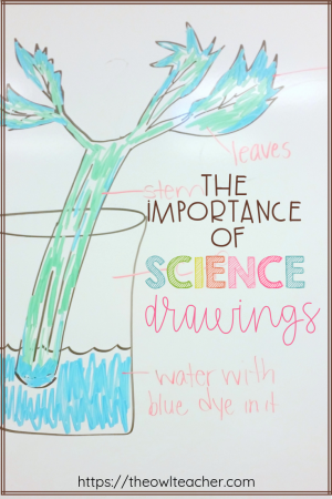 science drawing poster