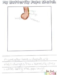 Are you using science drawings in your classroom? These drawings are important and used by both scientists and engineers. Learn everything you need to know to help your students!