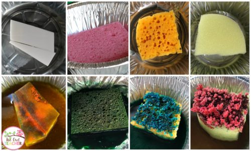 During your rocks and minerals unit, have you ever want to create your own crystal garden or grow your own minerals? This post teaches you exactly what you need to do during your science lesson to make it happen.