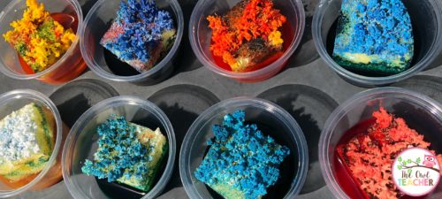 During your rocks and minerals unit, have you ever want to create your own crystal garden or grow your own minerals? This post teaches you exactly what you need to do during your science lesson to make it happen.