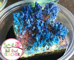 During your rocks and minerals unit, have you ever want to create your own crystal garden or grow your own minerals? This post teaches you exactly what you need to do during your science lesson to make it happen.