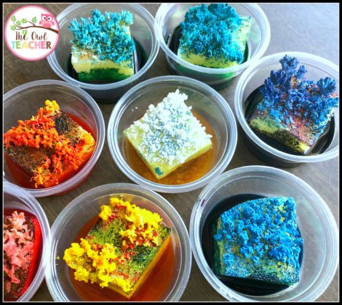 During your rocks and minerals unit, have you ever want to create your own crystal garden or grow your own minerals? This post teaches you exactly what you need to do during your science lesson to make it happen.