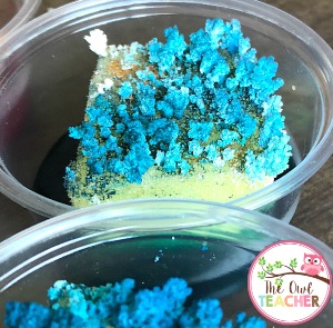 During your rocks and minerals unit, have you ever want to create your own crystal garden or grow your own minerals? This post teaches you exactly what you need to do during your science lesson to make it happen.